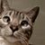 Manon Ouellette's profile image
