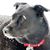 Karen Morse Hughes's profile image