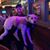 Nick Cook's profile image