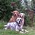 Lynda Ruesch's profile image