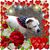 Susan Hull Spada's profile image