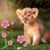 Joanne Kehoe's profile image