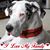 Susie Kurek Weeden's profile image