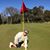 Alice Ratway's profile image