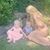 Tanessa Stanley's profile image