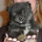 christine's profile image