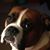 Kimberly Aguirre's profile image