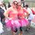 Lauren Budniewski's profile image