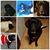 Sherry Fender Grove's profile image