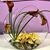Weiland Flowers's profile image