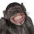 Ceci Mar Y Sol's profile image
