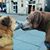 Linda Huffman's profile image