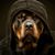 Brian Washington's profile image