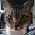 Debra Simon's profile image