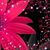 Michelle Tibbetts's profile image