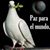 Lena Sanchez Martinez's profile image
