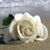 Adisa Ernadova's profile image