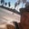 Steve Perez's profile image