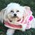 Marilyn Homma Mason's profile image
