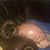 Starr Bullis's profile image