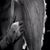 Michelle Morris's profile image