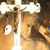 Jef Campion's profile image