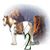 Colin J. Bush-Horton's profile image