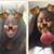 Maya Love's profile image