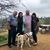 Karen Beshai's profile image