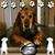 Michelle E. Gauthier's profile image