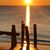 Lynn Mattei's profile image