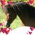 Dawn Sayles's profile image