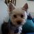 Sandy Scott Otto's profile image