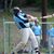 Alex Brickman's profile image
