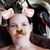 Kimmie Frain's profile image