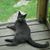 Janet Schroeder's profile image
