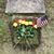 Melanie Thompson Philipp's profile image
