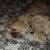 Kathy-Murphy Pasha's profile image