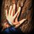 Virginia Seales's profile image
