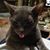 Jon Wysoski's profile image