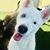 Knol Atwood's profile image