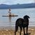 Betty Ann Sego Allison's profile image
