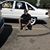 Jason Fortner's profile image