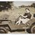 Sarah Erne's profile image