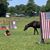 AC Anne Carter Jones's profile image