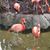 Jenny McMaken Herold's profile image