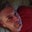 Jason Hummel's profile image