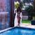 Janene Suriano Yarborough's profile image