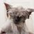 Theresa Clare's profile image