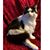 Lori Edwards's profile image
